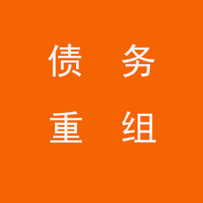 湾岭镇个人债务重组优化